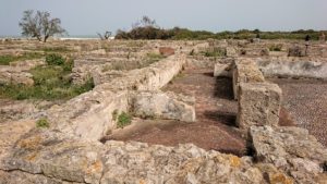 チュニジア：のケルクアン遺跡で見かけたものは？8