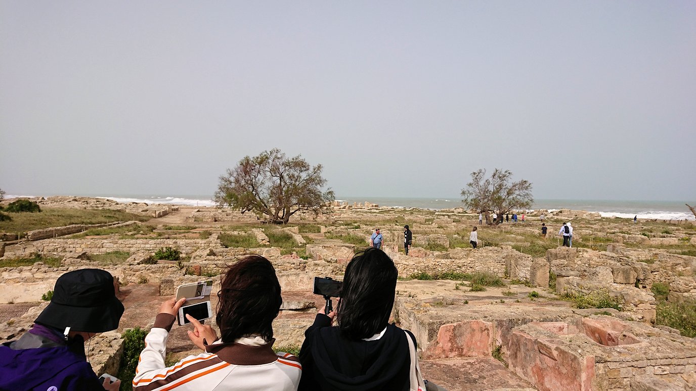 チュニジア：のケルクアン遺跡はまだまだ健在5