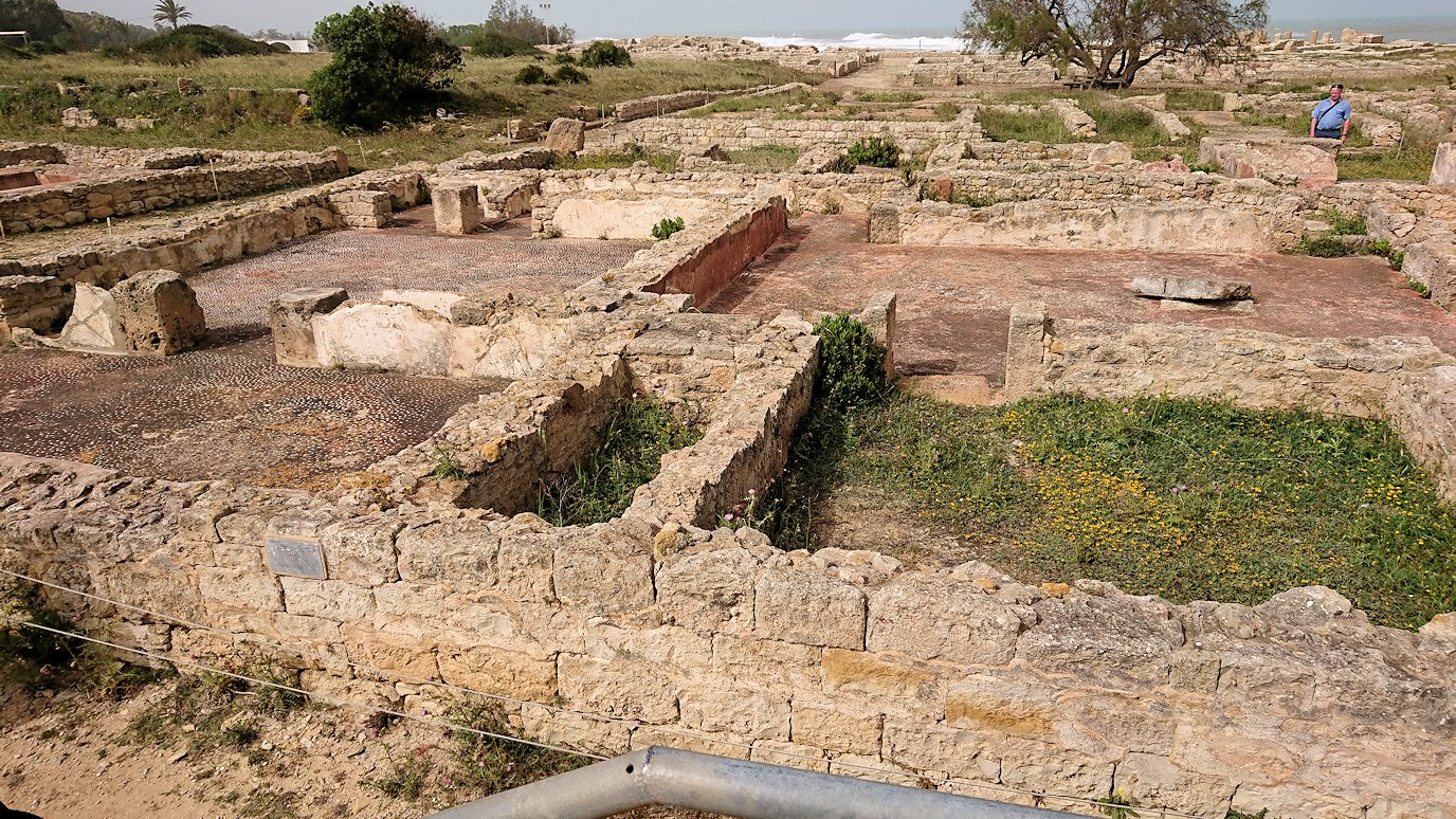 チュニジア：のケルクアン遺跡はまだまだ健在6