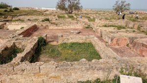 チュニジア：のケルクアン遺跡はまだまだ健在7