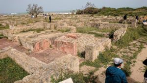 チュニジア：のケルクアン遺跡はまだまだ健在8