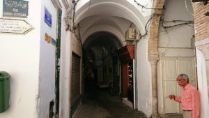 チュニジア：チュニスのメディナのメイン通りを進みながらグランドモスク近くの猫ちゃん5