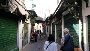 チュニジア：チュニスのメディナのメイン通りを進みながらグランドモスク近くの猫ちゃん8