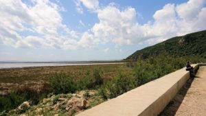 チュニジア：イシュケウル国立公園の敷地内に入る8