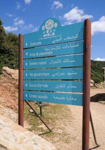 チュニジア：イシュケウル国立公園の階段を登って行きます5