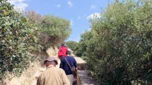 チュニジア：イシュケウル国立公園の階段を登ってなんとか頂上に辿り着く