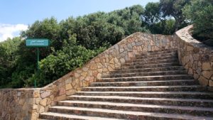 チュニジア：イシュケウル国立公園の階段を登ってなんとか頂上に辿り着く5