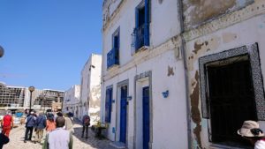 チュニジア：ビゼルトの街で見かけた猫と遊ぶ1