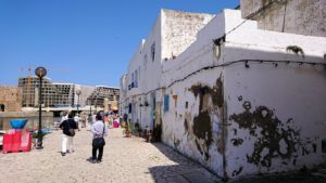 チュニジア：ビゼルトの街で見かけた猫と遊ぶ5