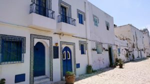 チュニジア：ビゼルトの街の猫とたわむれる4