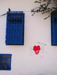 チュニジア：シディ・ブ・サイドの中心へ足を踏み入れる6