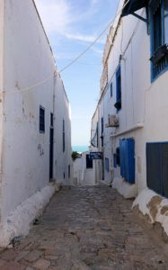 チュニジア：シディ・ブ・サイドの街を進んで行きます2