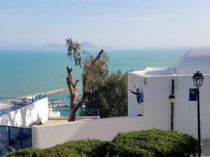 チュニジア：シディ・ブ・サイドの街を進んで絶景ポイントで写真撮影に夢中6