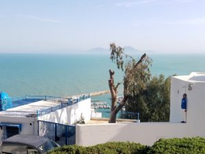 チュニジア：シディ・ブ・サイドの街を進んで絶景ポイントで写真撮影に夢中7