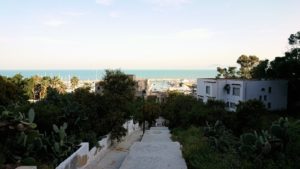 チュニジア：シディ・ブ・サイドで海岸に降りる道を進む6