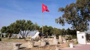 チュニジア：カルタゴ遺跡のビュルサの丘から観光開始7