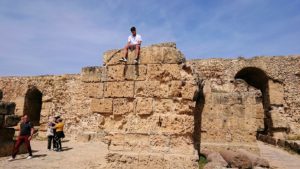 チュニジア：カルタゴ遺跡のアントニヌスの共同浴場内の散策は続く6