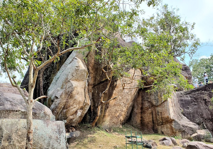 イスルムニヤ精舎敷地内にある、大きな岩